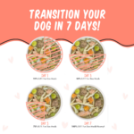 Weruva Dogs in the Kitchen BFF Fun Size Meals We Be Jammin Wet Dog Food, photo 3