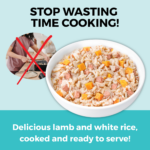 Koha Limited Ingredient Bland Diet Lamb & Rice Recipe Wet Dog Food, photo 3