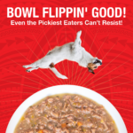 Koha Pure Shreds Shredded Beef Entrée Wet Dog Food, photo 4