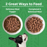 Koha Minimal Ingredient Stew Turkey Stew Wet Dog Food, photo 4