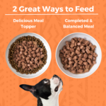 Koha Minimal Ingredient Stew Chicken Stew Wet Dog Food, photo 4