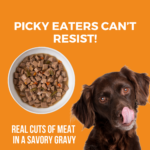 Koha Big Easy Feast Slow Cooked Stew Wet Dog Food, photo 4