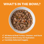 Koha Big Easy Feast Slow Cooked Stew Wet Dog Food, photo 3