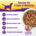 Wellness Complete Health Turkey & Duck Wet Dog Food, photo 3