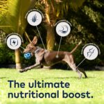 ZIWI Air-Dried Beef Dog Food Topper, photo 6