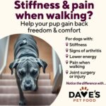 Dave’s Pet Food Restricted Diet Dave’s Restricted Hip & Joint Support, Chicken, Duck, & Turkey Recipe Wet Dog Food, photo 5