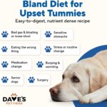 Dave’s Pet Food Bland Diet Pouches Dave’s Bland Duck & Pumpkin Pouch Recipe for Dogs / 10 Pack - Pou Wet Dog Food, photo 4
