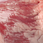 Smallbatch Raw Pork Patties Frozen Dog Food, photo 8