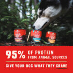Stella & Chewy’s Wild Red : Whole Prey Chicken & Lamb Recipe, Protein Rich, Grain Free & Legume Free Stew Wet Dog Food, photo 3