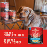 Stella & Chewy’s Wild Red : Whole Prey Chicken & Lamb Recipe, Protein Rich, Grain Free & Legume Free Stew Wet Dog Food, photo 6