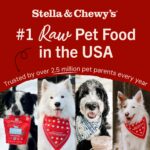 Stella & Chewy’s Purely Pork Dinner Patties Freeze-Dried Dog Food, photo 8