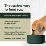 Instinct FreshDried Raw Meals for Puppies Chicken Recipe Grain-Free Freeze-Dried Dog Food, photo 4
