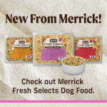 Merrick Fresh Selects Turkey & Brown Rice Fresh Frozen Dog Food, photo 2