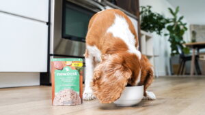 Now Fresh Chicken & Broth Wet Food for Small Breed Dogs Grain-Free Wet Dog Food