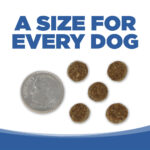 NutriSource PureVita Puppy Turkey & Cranberry Entree Dry Dog Food, photo 2