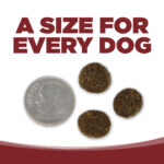 NutriSource PureVita Beef & Kale Entree Dry Dog Food, photo 3