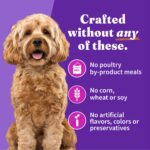 TruDog Grain Free Turkey & Duck Recipe Small Breed Wet Dog Food, photo 5
