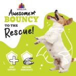 Weruva Awesome Functions Awesome Bouncy Chicken & Riceberry For Joint Health Wet Dog Food, photo 6