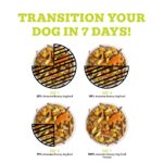Weruva Awesome Functions Awesome Bouncy Chicken Breast & Riceberry Recipe with Veggies, Turmeric & Ginger Wet Dog Food, photo 6