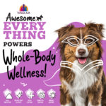 Weruva Awesome Everything Super Chicken Bone Broth Dog Food Topper, photo 5