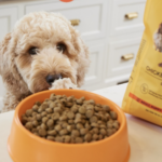 Canidae All Life Stages Multi-Protein Formula Chicken, Turkey, Lamb, and Fish Meals Dry Dog Food, photo 5