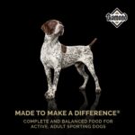 Diamond High Energy Adult Dry Dog Food, photo 2
