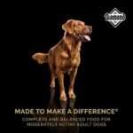 Diamond Maintenance Dry Dog Food, photo 2