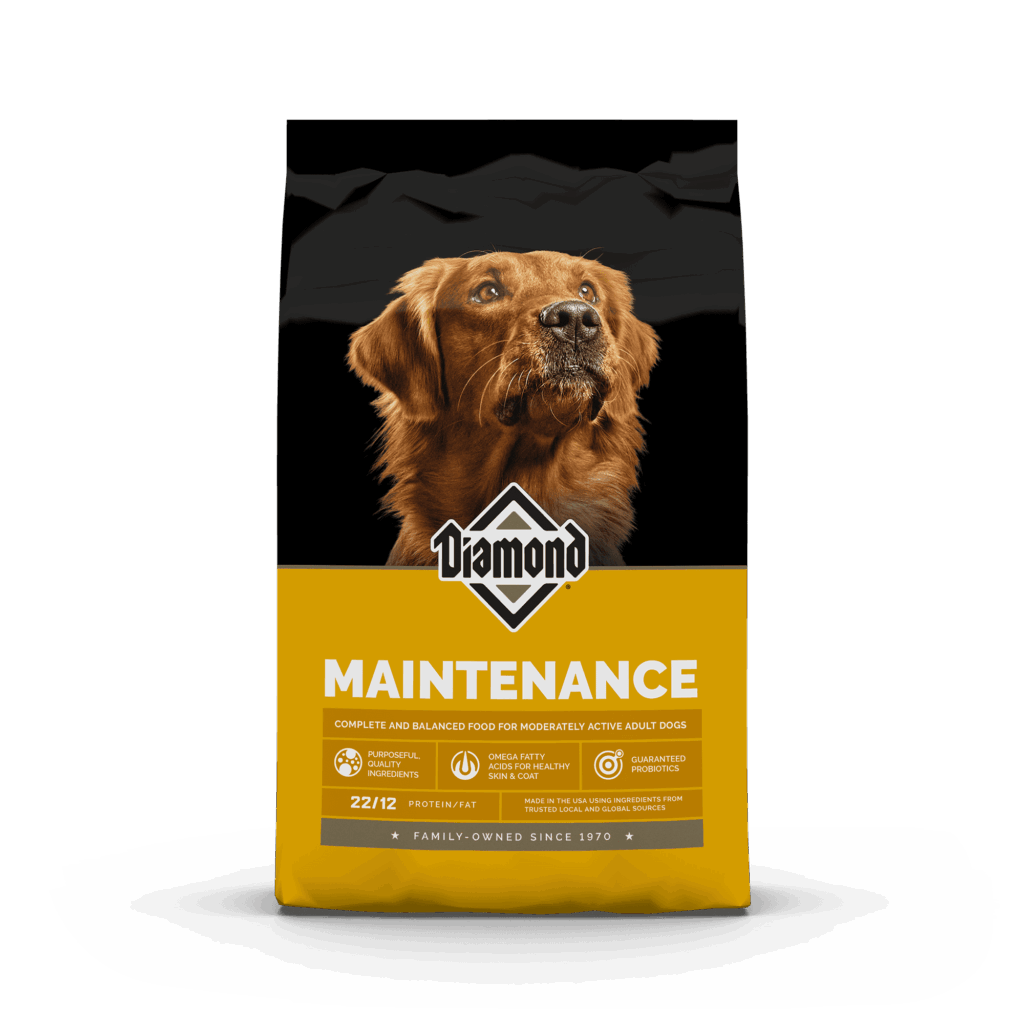 Diamond Maintenance Dry Dog Food