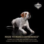 Diamond Performance All Life Stages Dry Dog Food, photo 2