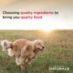 Diamond Naturals Large Breed Adult Dog Lamb Meal & Rice Formula Dry Dog Food, photo 4