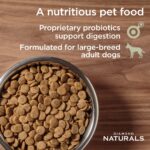 Diamond Naturals Large Breed Adult Dog Lamb Meal & Rice Formula Dry Dog Food, photo 3