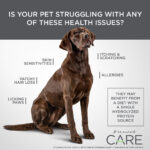 Diamond>Care Diamond Care Sensitive Skin Formula Grain-Free Dry Dog Food, photo 5