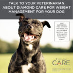 Diamond>Care Diamond Care Weight Management Formula Dry Dog Food, photo 7