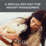 Diamond>Care Diamond Care Weight Management Formula Dry Dog Food, photo 4