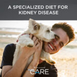 Diamond>Care Diamond Care Rx Renal Formula Dry Dog Food, photo 3