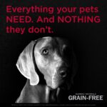 Diamond Naturals Grain-Free Cage-Free Chicken & Sweet Potato Formula Dry Dog Food, photo 3