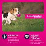 Eukanuba Puppy Small Breed Dry Dog Food, photo 4