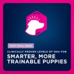 Eukanuba Puppy Small Breed Dry Dog Food, photo 5