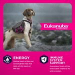 Eukanuba Senior Medium Breed Dry Dog Food, photo 3