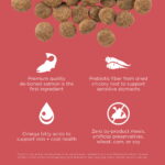 Go! Solutions Sensitivities Limited Ingredient Grain-Free Salmon Recipe Dry Dog Food, photo 4