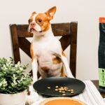 Go! Solutions Sensitivities Limited Ingredient Grain-Free Turkey Recipe Dry Dog Food, photo 2