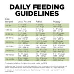Go! Solutions Sensitivities Limited Ingredient Grain-Free Turkey Recipe Dry Dog Food, photo 9