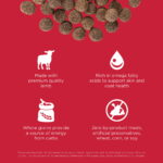 Go! Solutions Skin + Coat Care Lamb Recipe Dry Dog Food, photo 5