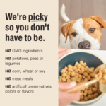 The Honest Kitchen Whole Grain Chicken & Oat Recipe Whole Food Clusters Dry Dog Food, photo 5