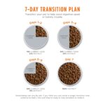 Instinct Original Grain-Free Recipe with Real Salmon Dry Dog Food, photo 6