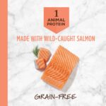 Instinct Limited Ingredient Diet Grain-Free Recipe with Real Salmon Dry Dog Food, photo 2