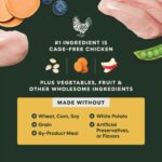 Instinct Raw Boost Grain-Free Recipe with Real Chicken for Small Breed Dogs Dry Dog Food, photo 5
