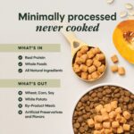Instinct Raw Boost Mixers Gut Health Freeze-Dried Dog Food Topper, photo 5