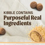 Merrick Limited Ingredient Diet Real Chicken & Brown Rice Recipe Dry Dog Food, photo 2