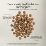 Now Fresh Turkey, Salmon & Duck Grain-Free Dry Puppy Dry Dog Food, photo 4